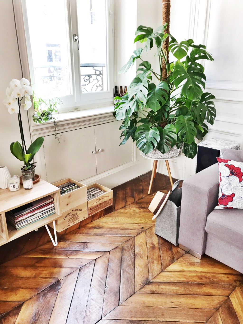 5 conseils pour prendre soin de ses&nbsp;plantes