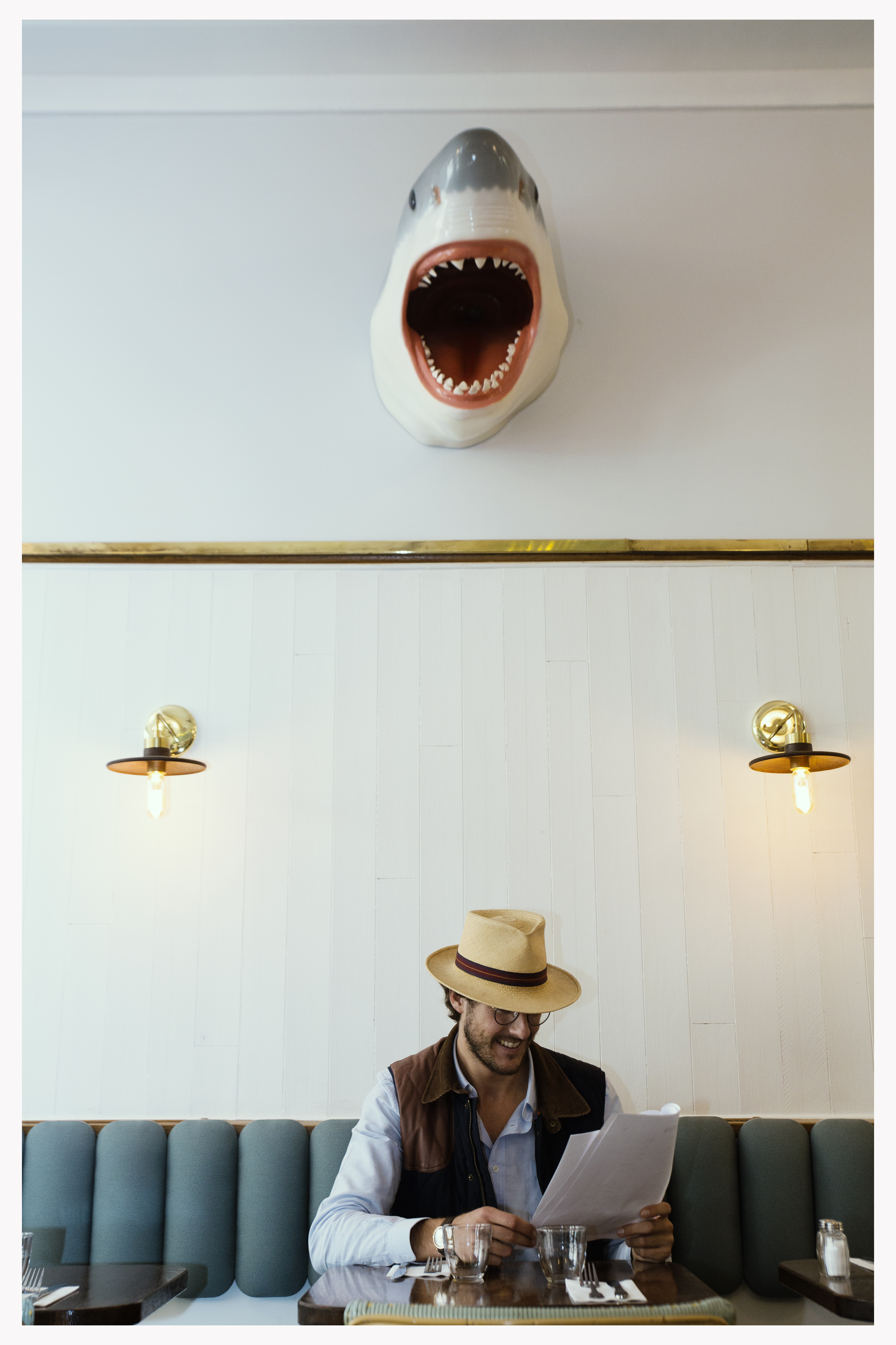 YCpressecontourblanc#2