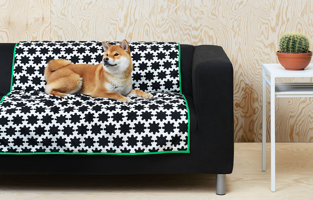 couverture pour chien.jpg