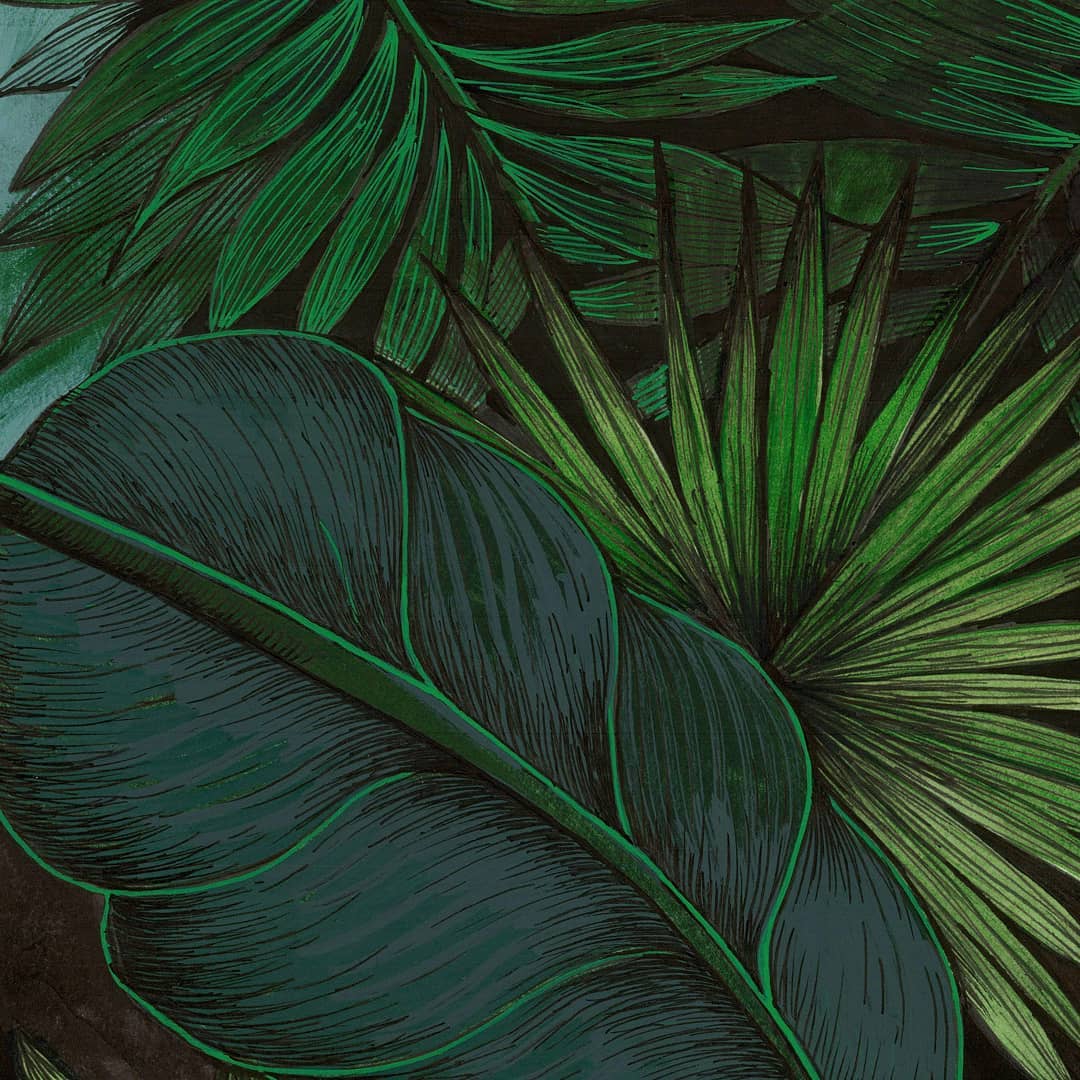 Ramo végétal plantes Ramo par @larobotte