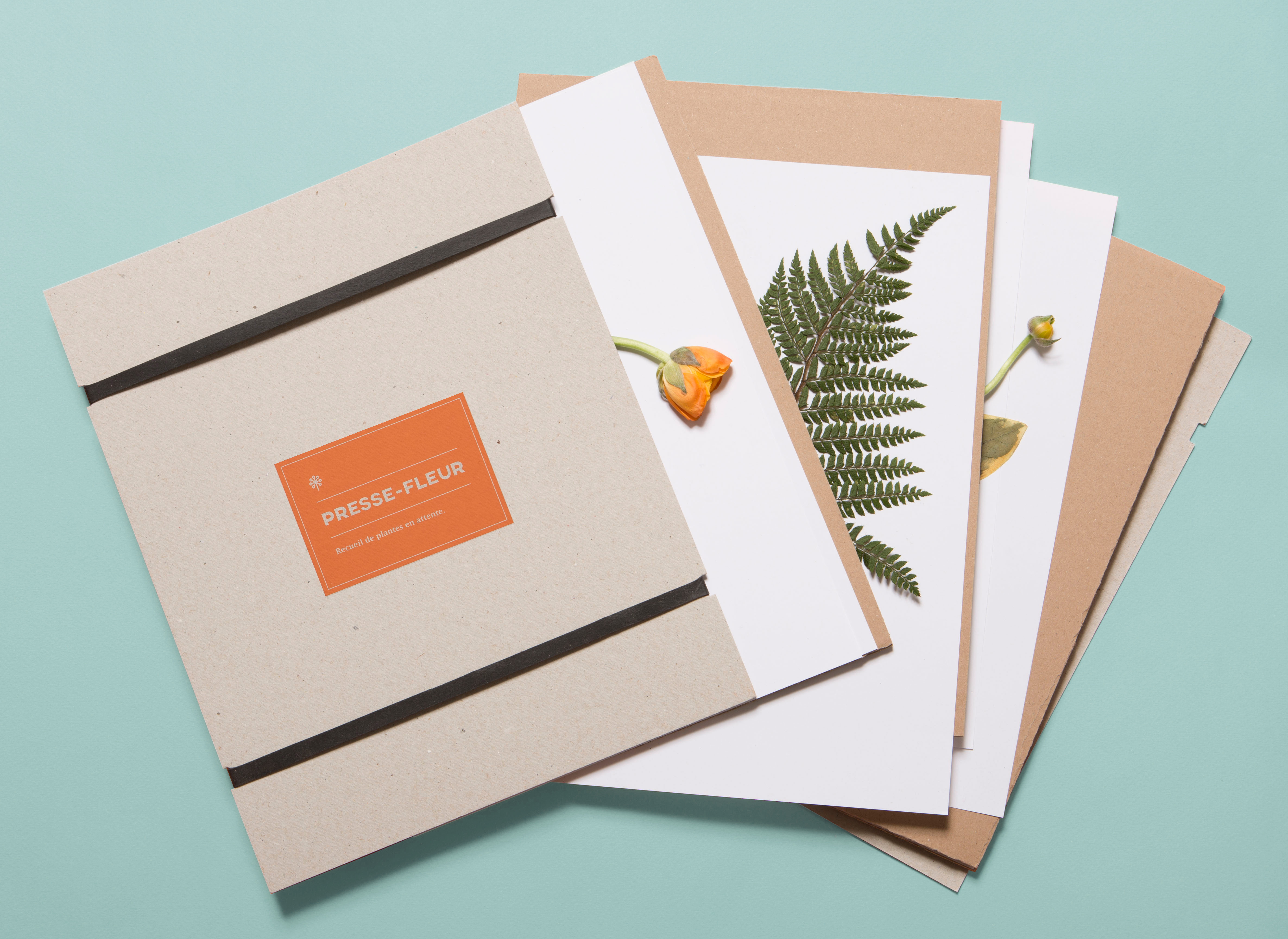 9892 - Photo Alcide Rioche 2.jpg