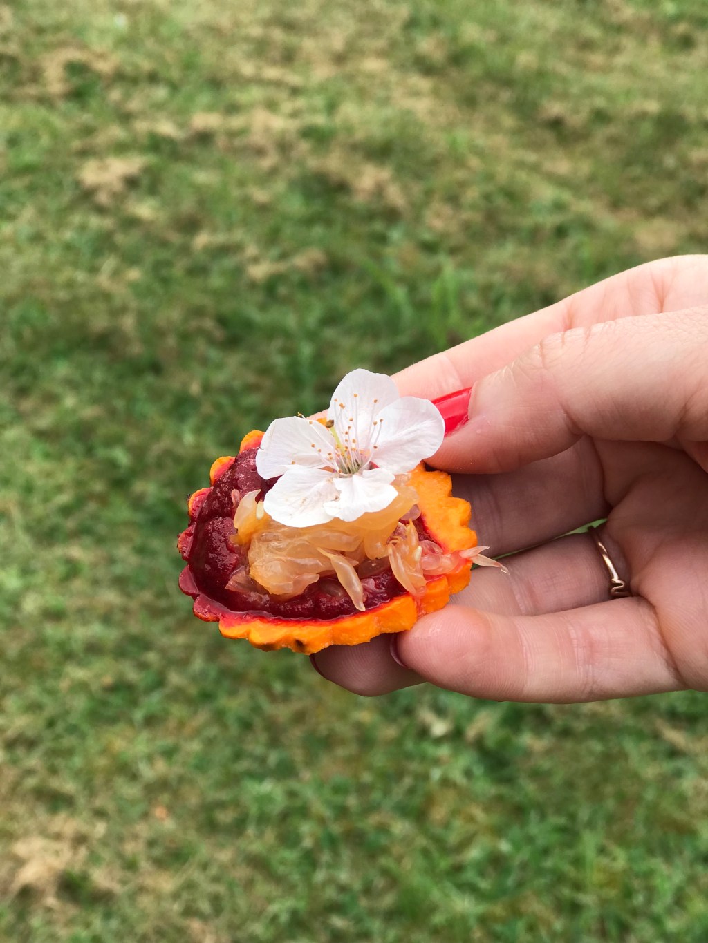 Besoin d&rsquo;une cure détox ? On vous ouvre les portes de l&rsquo;endroit idéal, le Château Du&nbsp;Launay