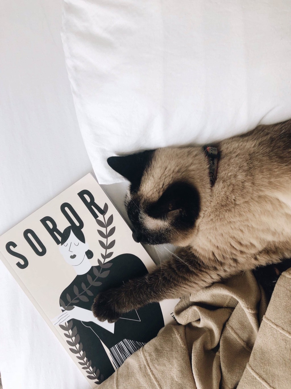 Soror : enfin une revue qui prône la solidarité entre femmes&nbsp;!