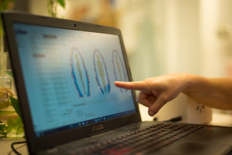 centre élément bilan énergétique