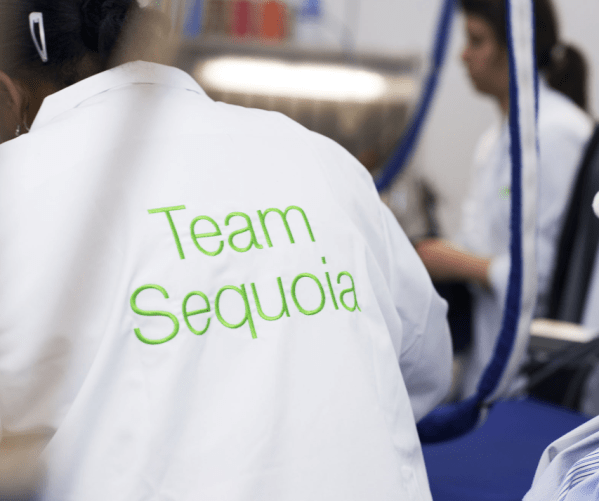 Capture d’écran 2019-06-03 à 22.25.00