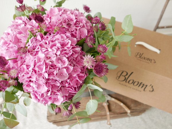 Blooms fleurs saison box interview2