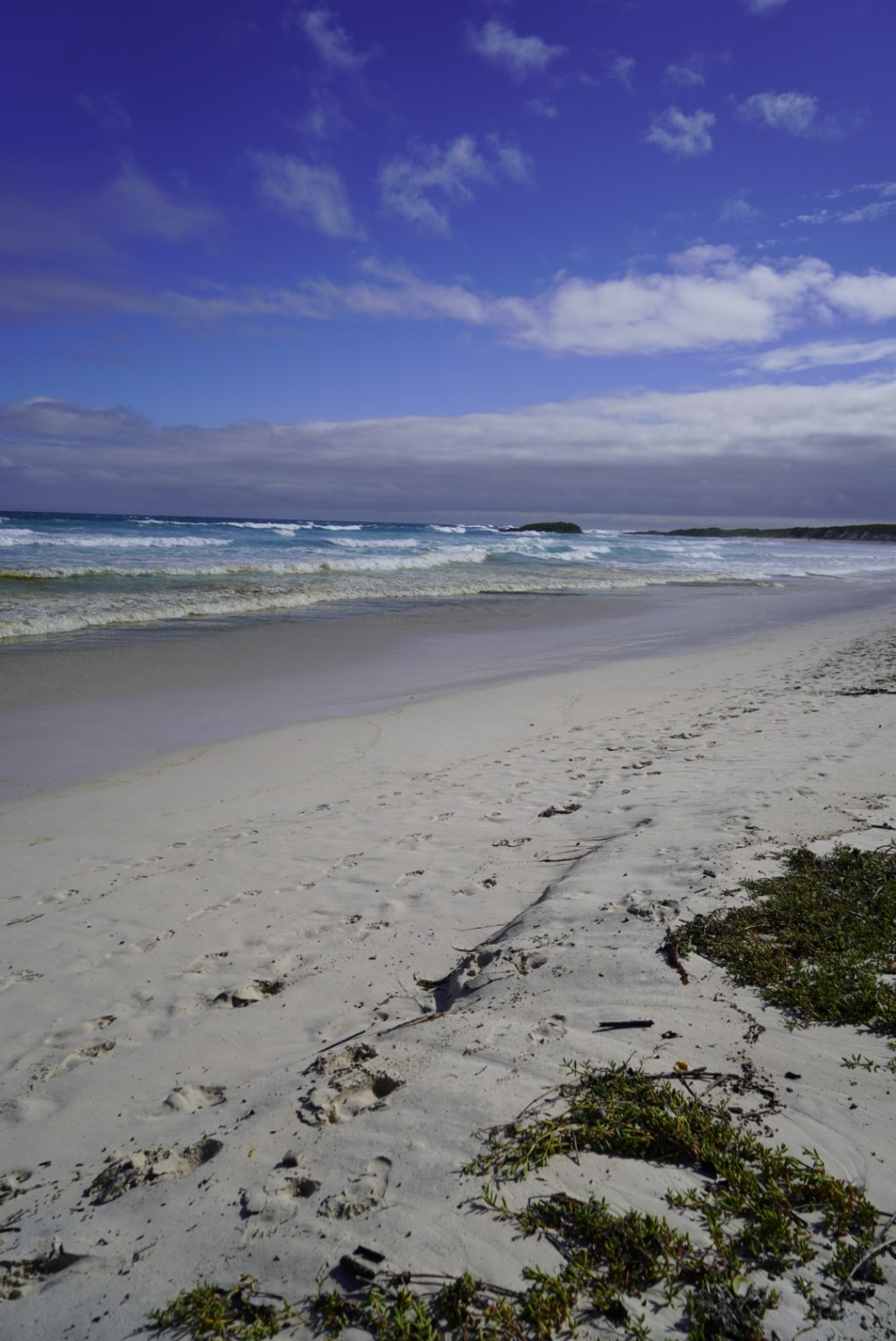 Destination de rêve : les Galapagos, entre animaux et paradis au nom de Finch Bay