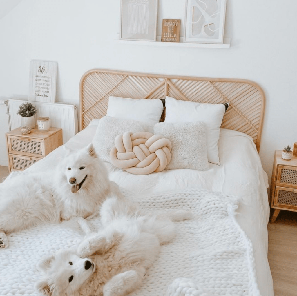 Vous n&rsquo;allez plus jamais dormir comme avant avec&nbsp;tediber