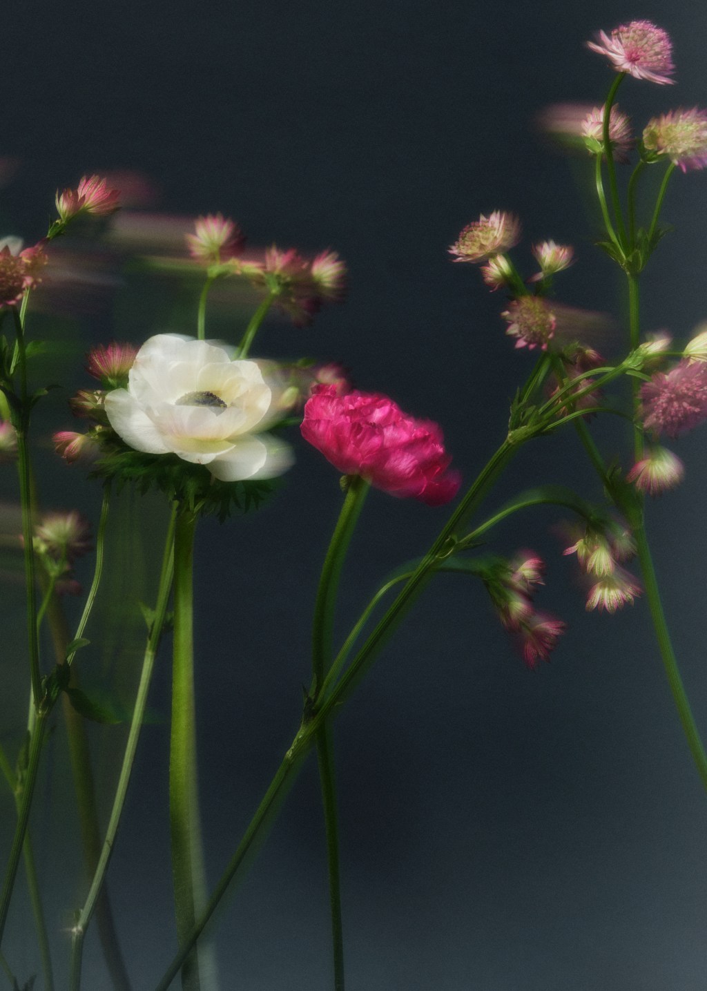 Les 10 collab mode de l’été